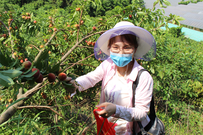 1590132796786807.jpg 555.jpg