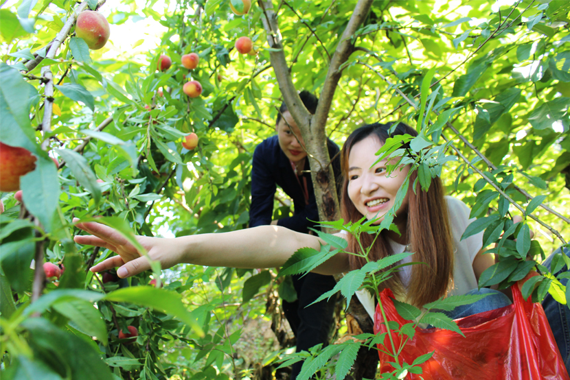 1590132928295615.jpg 777.jpg