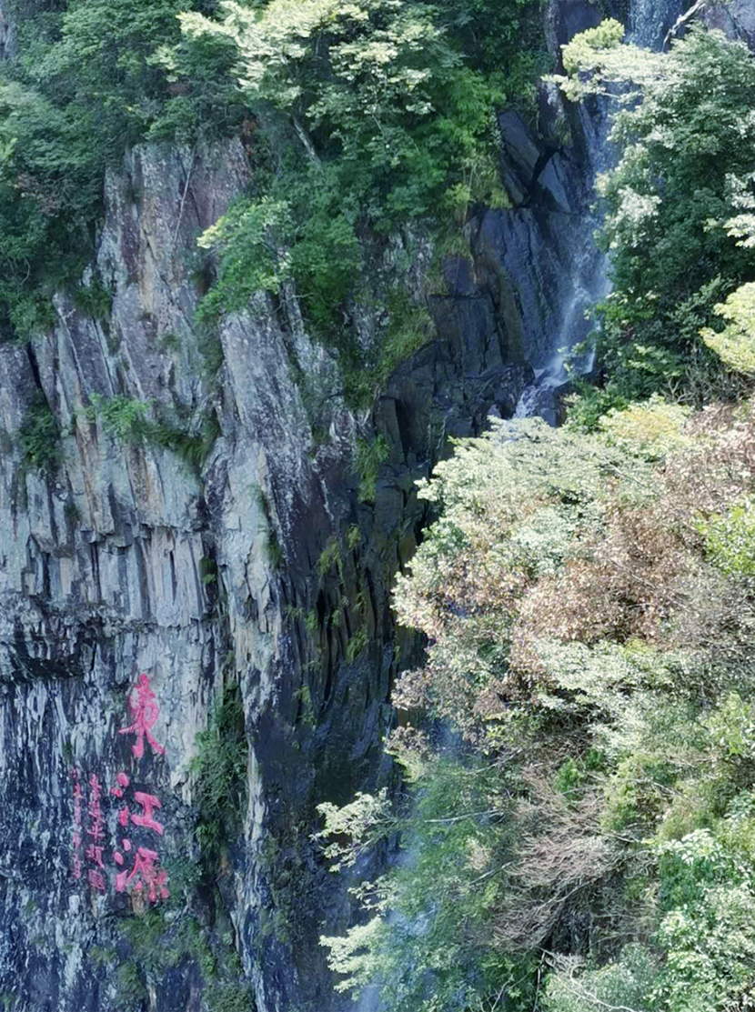 1597473816479978.jpg 1597047783600409.jpg