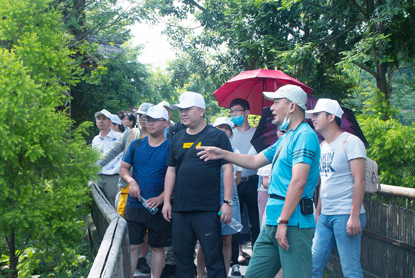 1597475113185728.jpg 1597047783600409.jpg