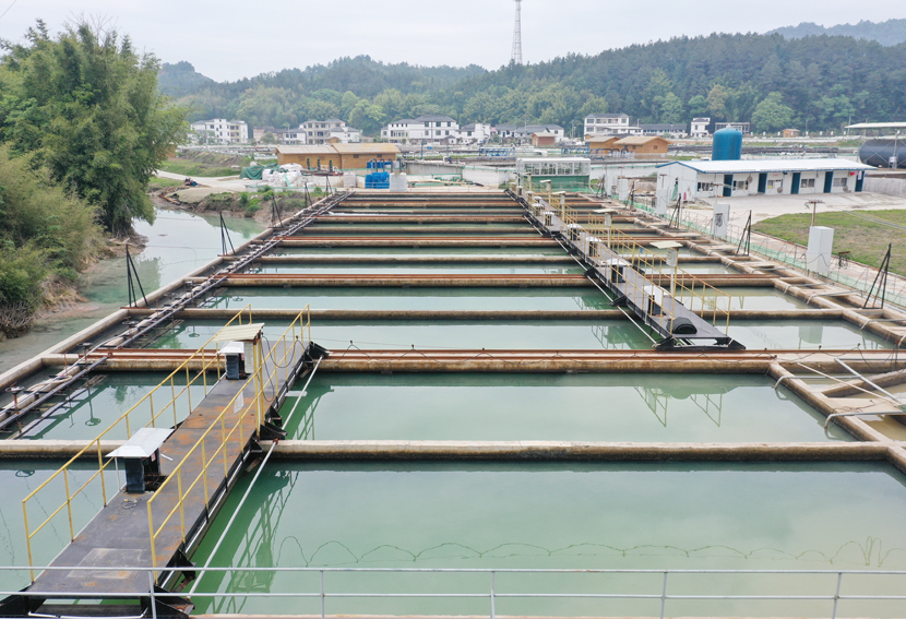 1607325866483010.jpg 1605259012771387.jpg