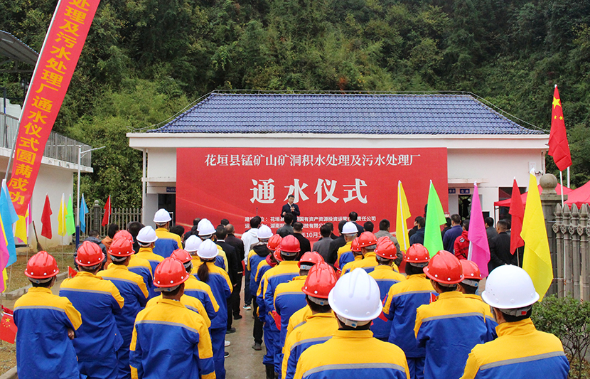 1668067479454623.jpg 6.jpg