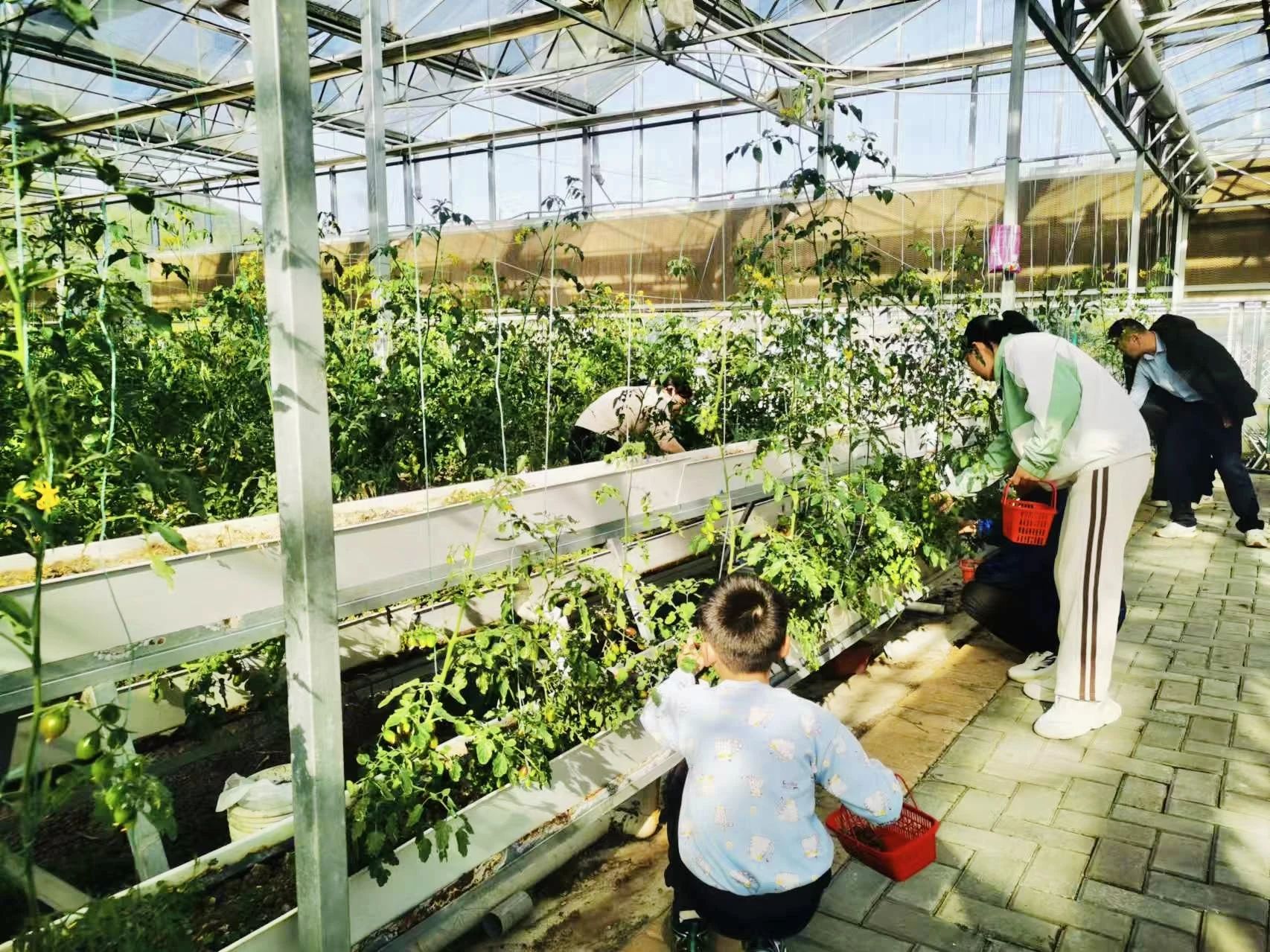 1733731056426669.jpg 微信圖片_20241209160346.jpg